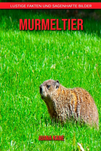 Murmeltier
