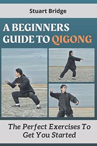 Beginners Guide To Qigong