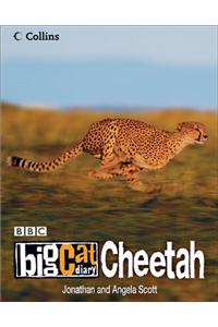 Big Cat Diary Cheetah