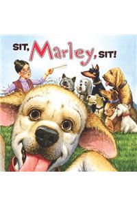 Marley: Sit, Marley, Sit!