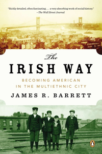 Irish Way: Becoming American in the Multiethnic City