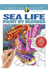 Creative Haven Sea Life Paint by Number