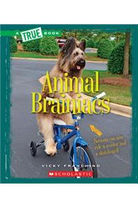 Animal Brainiacs