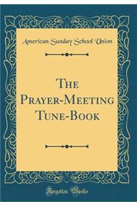 The Prayer-Meeting Tune-Book (Classic Reprint)