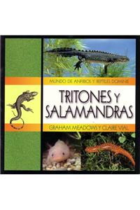Tritones y Salamandras