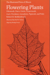 Flowering Plants: Pokeweeds, Four-o'clocks, Carpetweeds, Cacti, Purslanes, Goosefoots, Pigweeds, and Pinks