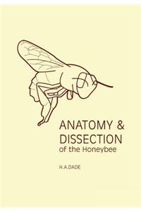 Anatomy and Dissection of the Honeybee