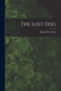 Lost Dog