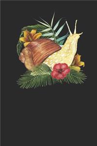 Colorful Snail With Leaves