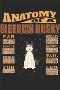 Anatomy Of A Siberian Husky