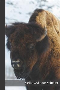 yellowstone winter: small lined Bison Notebook / Travel Journal to write in (6'' x 9'') 120 pages