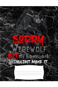 sorry werewolf bit my homework couldnt make it