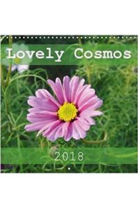 Lovely Cosmos 2018