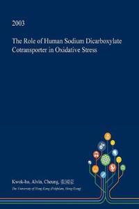 The Role of Human Sodium Dicarboxylate Cotransporter in Oxidative Stress