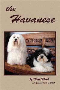 Havanese