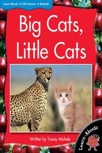 Learnabouts Lvl 9: Big Cats, Little Cats