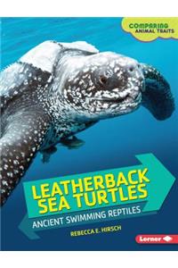 Leatherback Sea Turtles