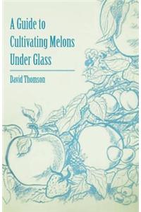 A Guide to Cultivating Melons Under Glass