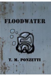 Floodwater