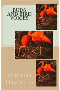 Buds and Bird Voices