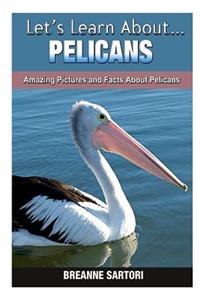 Pelicans: Amazing Pictures and Facts about Pelicans