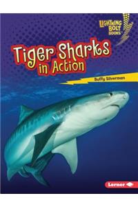 Tiger Sharks in Action