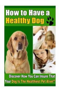 How to Have a Healthy Dog