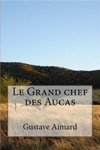 Le Grand chef des Aucas