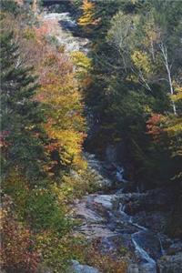 Forest Brook in New Hampshire Journal
