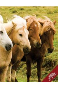 Horse Notebook Collection