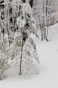 Pretty Winter Scenic Journal