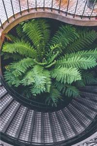 Lovely Green Plant and a Spiral Staircase Journal