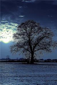 Beautiful Tree in the Moonlight on a Winter Night Nature Journal