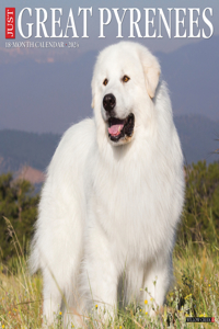 Just Great Pyrenees 2024 12 X 12 Wall Calendar