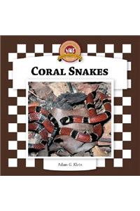 Coral Snakes