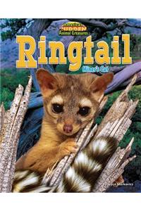 Ringtail