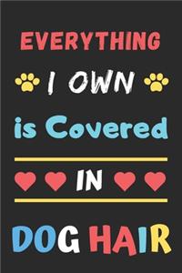 Everything I Own is Covered In Dog Hair
