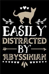 Easily Distracted By Abyssinian