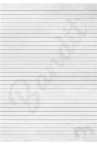 Bandit Horse Journal