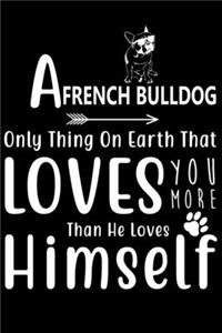 A French Bulldog only thing on earth that loves you more than he loves himself