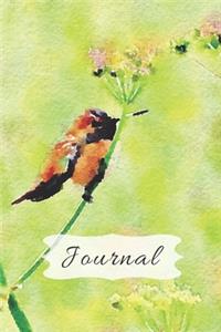 Cute Pastel Green cover with Fluffy Golden Hummingbird & Flower Pretty Diary Journal for Daily Thoughts