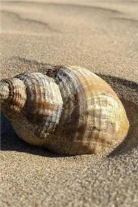 Seashell Notebook
