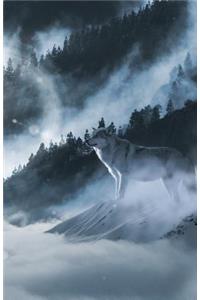The Hacker-Proof Internet Address Password Book - Mountain Wolf