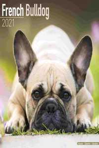 French Bulldog 2021 Wall Calendar