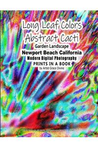 Long Leaf Colors Abstract Cacti Garden Landscape Newport Beach California Modern Digital Photography PRINTS IN A BOOK by Artist Grace Divine