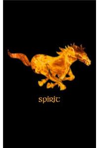 Spirit