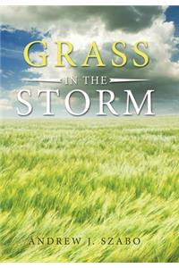 Grass in the Storm