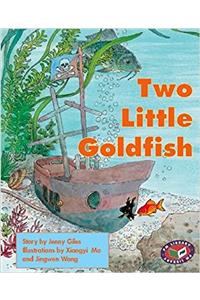 Two Little Goldfish