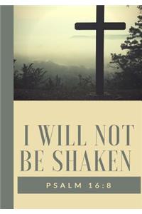 I Will Not Be Shaken