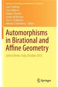 Automorphisms in Birational and Affine Geometry